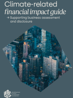 Climate-related financial impact guide