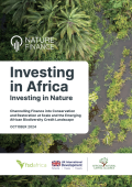 Investing in Africa